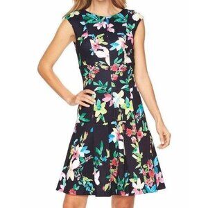 New Chaps| Women’s Floral Scuba Dress| Navy Blue Drop Waist | Size 16|  NWT